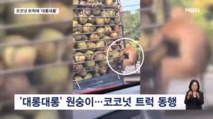 [굿모닝월드] 코코넛 트럭에 '대롱대롱'