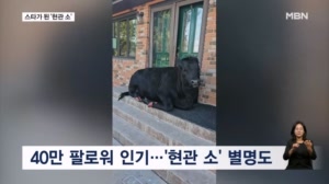 [굿모닝월드] 스타가 된 '현관 소'
