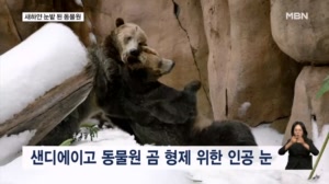 [굿모닝월드] 곰 형제를 위한 인공 겨울