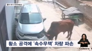 [굿모닝월드] 뿔이 여기 끼어버렸소