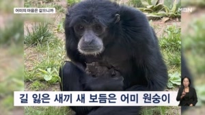 [굿모닝월드] 어미의 마음은 같으니까