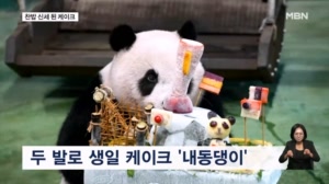 [굿모닝월드] 케이크보다 노는 게 좋아!