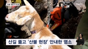 [굿모닝월드] '산불 영웅'의 탄생