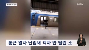 [굿모닝월드] 나도 출근하고 싶소
