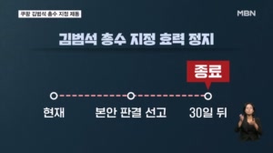 법원 '쿠팡 총수는 김범석 지정' 효력 정지…그 의미는