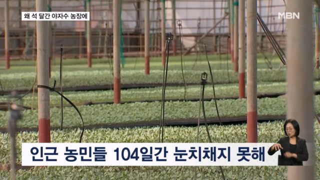 제주 실종 장미란 씨, 야자수 농장서 104일간 발견 안 된 의문점