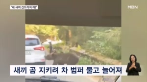 [굿모닝월드] "내 새끼 건드리지 마!"