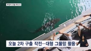 부산 북항 '부캉이' 바다로 돌아갈까…오늘 2차 구출 작전