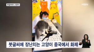 [굿모닝월드] 붓글씨와 고양이