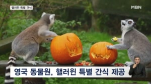 [굿모닝월드] 핼러윈 특별 간식