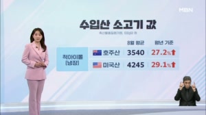 [굿모닝경제] 수입산 소고기 너마저 / 정규-비정규 임금격차 또 벌어져 / 한강벨트 타고 '국평 30억' 번져