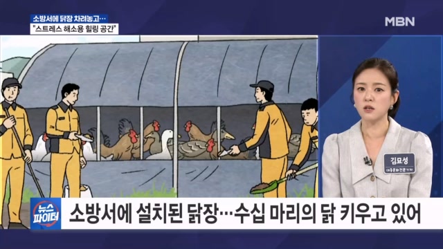 소방서에 닭장 차려놓고…＂스트레스 해소용 힐링 공간＂ - 김명준의 뉴스파이터