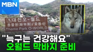 "늑구 더 활발해 졌어요"…재개장 준비 오월드, 어떻게 변했나 [포크뉴스]