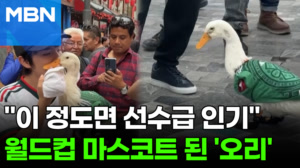 "FIFA와 광고도 찍었다"…생수 파는 오리, 월드컵 스타 등극 [포크뉴스]