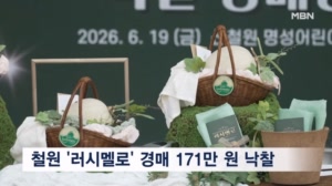 철원 '러시멜로' 첫 경매 171만 원에 낙찰