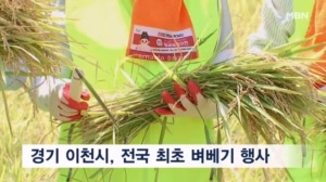 경기 이천시, 전국 최초 벼베기 행사