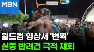 월드컵 영상서 '번쩍' 들린 강아지…그 덕에 주인 찾았다 [포크뉴스]