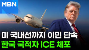 미 국내선서 한국인 ICE에 체포…'원정출산 비자' 무더기 취소도 [포크뉴스]