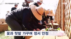 "지친 마음 치유해요"…우수 치유농업시설 국가 인증