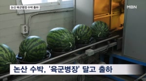 "전국 소비자 공략"…논산 육군병장 수박 출하