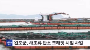 전남 완도군, 해조류 탄소거래·블루 크래딧 시범 사업 추진
