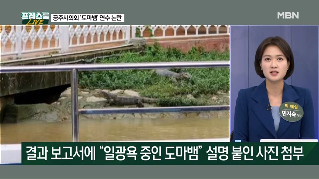 [프레스룸LIVE] 일광욕 중 ＇도마뱀＇이? 공주시의회의 ＇황당＇ 연수 보고서