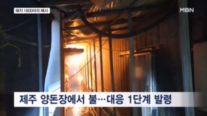 양돈장 화재로 돼지 1,800마리 폐사…경기 하남 컨테이너 화재로 40대 남성 사망