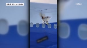 공항 착륙한 항공기, 지상 구조물과 충돌…월드컵 마스코트가 마약범 검거?