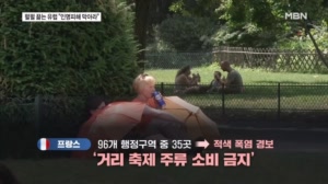 40도 폭염에 술 판매 금지…물놀이에 얼음 간식까지 동물들도 '헉헉'