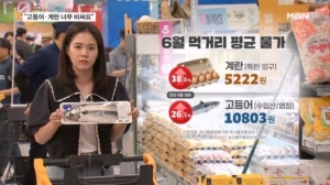 고공행진 고등어값·계란값…정부 1조 투입 '물가와의 전쟁'