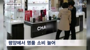 파병으로 돈벼락…사넬·오메가 가득한 평양 백화점