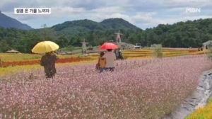 꽃물결 따라 가을 성큼…주말 나들이객 북적