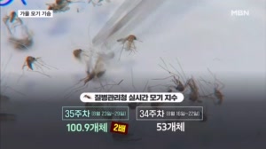 자는데 귓가에 "윙"…모기 개체량 일주일 새 2배