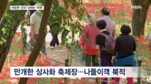 아침엔 '선선' 낮에는 '따뜻'…큰 일교차 속 나들이객 북적