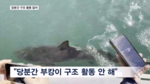 "당분간 구조 작전 없어"…부캉이 보러 구름 인파 몰려