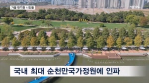 선선한 가을 만끽…전국 곳곳 나들이 인파