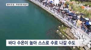북항 들어온 지 한 달 된 '부캉이'…날 추워지면 떠날 듯