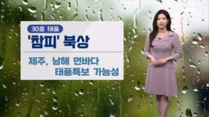 [날씨] 태풍 '참피' 영향…제주·남부 매우 강한 비