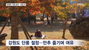 국화 꽃 향기에 취하고 만추 아래 휴식…쾌청한 주말 날씨
