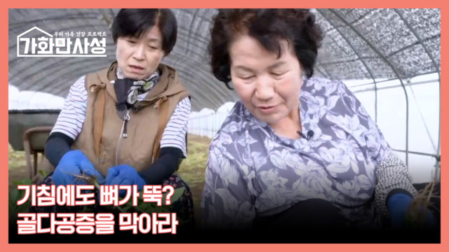 이번주 예고편
