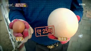 썸네일 이미지