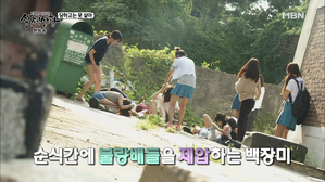 썸네일 이미지