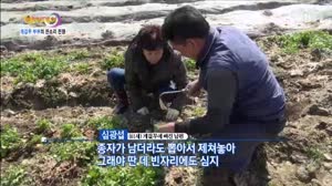 썸네일 이미지