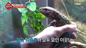 썸네일 이미지