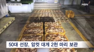 썸네일이미지
