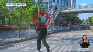 썸네일이미지