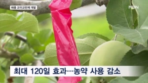 썸네일이미지