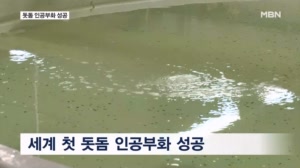 썸네일이미지