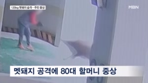 썸네일이미지