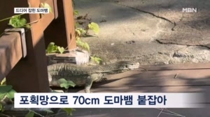 썸네일이미지